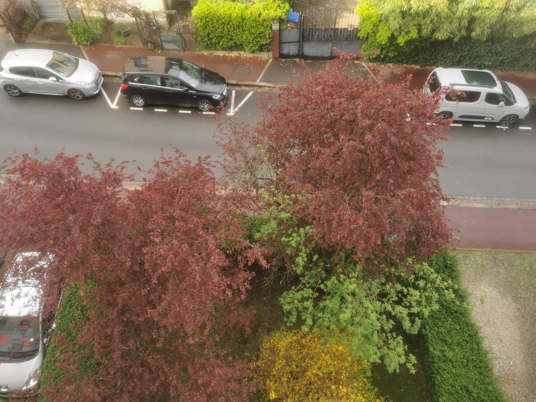 Appartement 3 Pieces A Seulement 5Km De Paris - For 2 To 7 Guests ! フォントネー・オー・ローズ エクステリア 写真